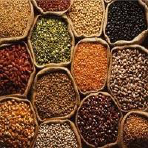 Dal and Pulses