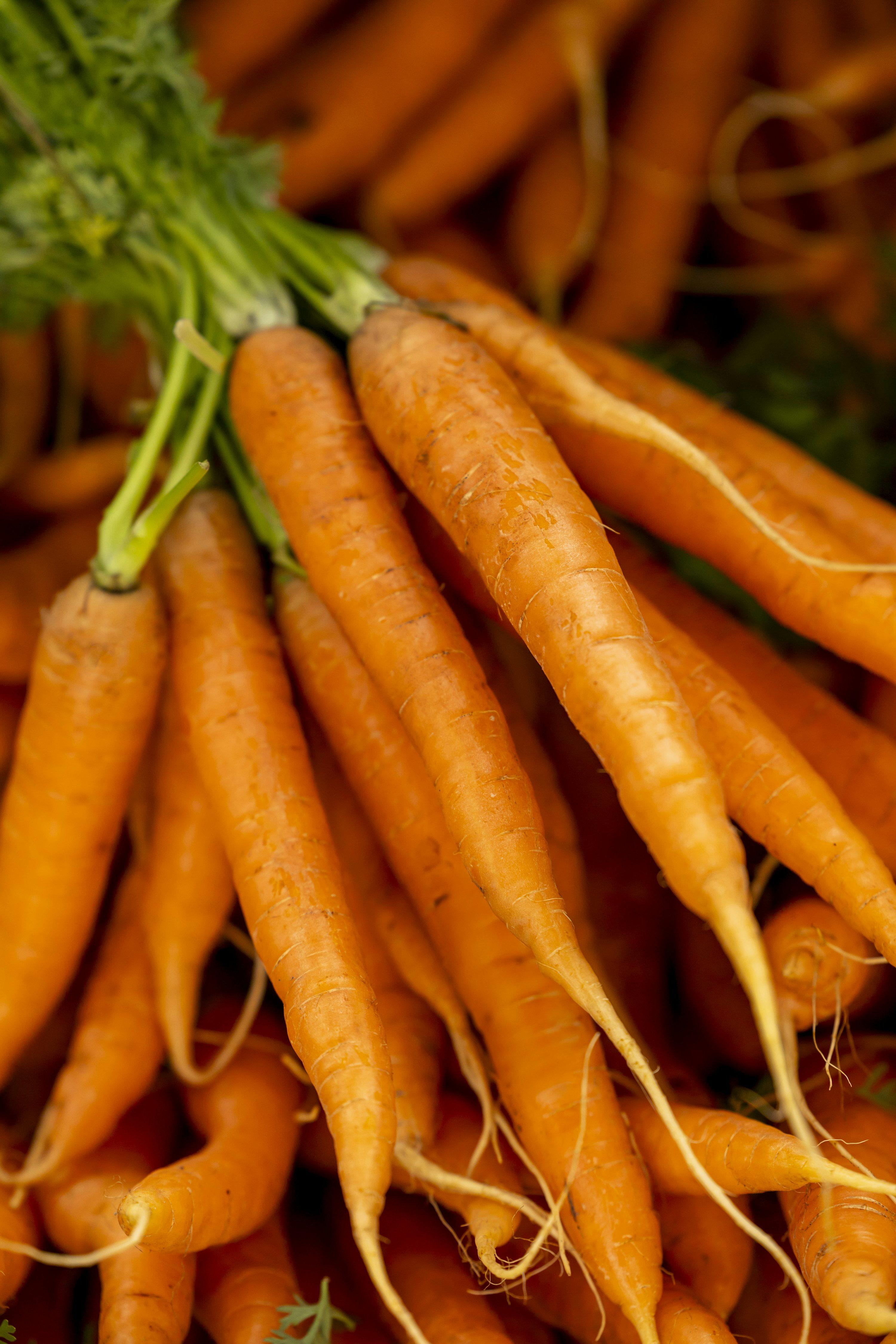 Fresh Carrot